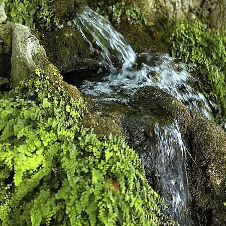 Alkyonis Platamonas