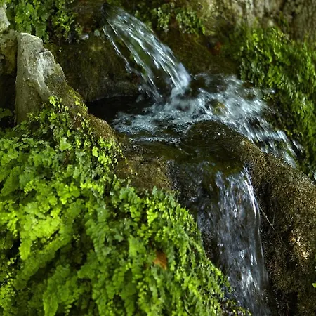 فندق Alkyonis 3*