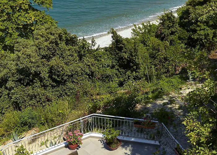 Alkyonis Otel 3*