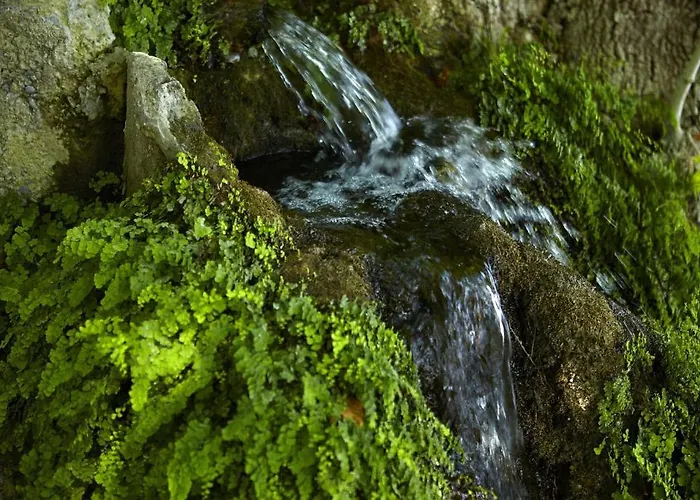 Отель Alkyonis 3*