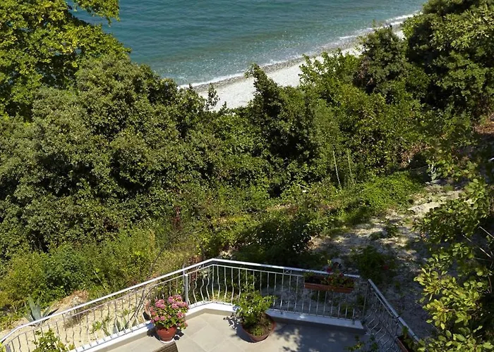 Alkyonis Otel 3*